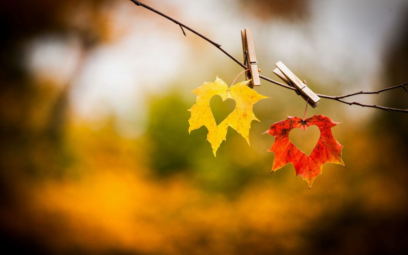 Love Wallpaper Hd