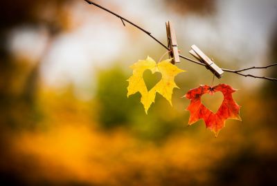 Love Wallpaper Hd