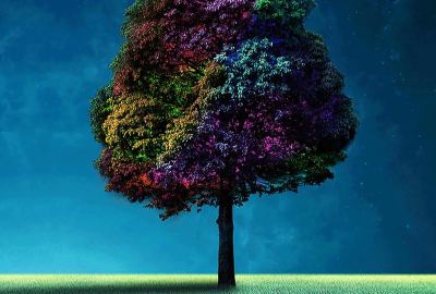 Colorful Tree Wallpaper